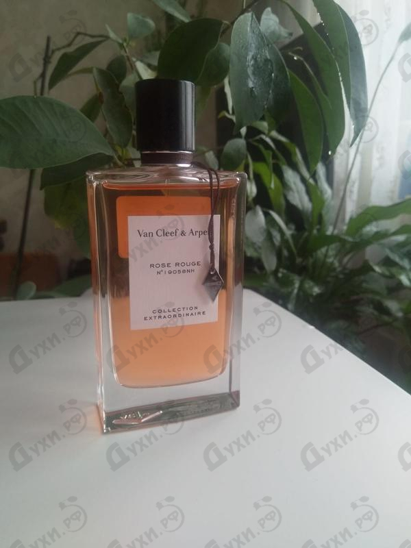 Духи Rose Rouge от Van Cleef & Arpels Отзыв Van Cleef & Arpels Rose Rouge