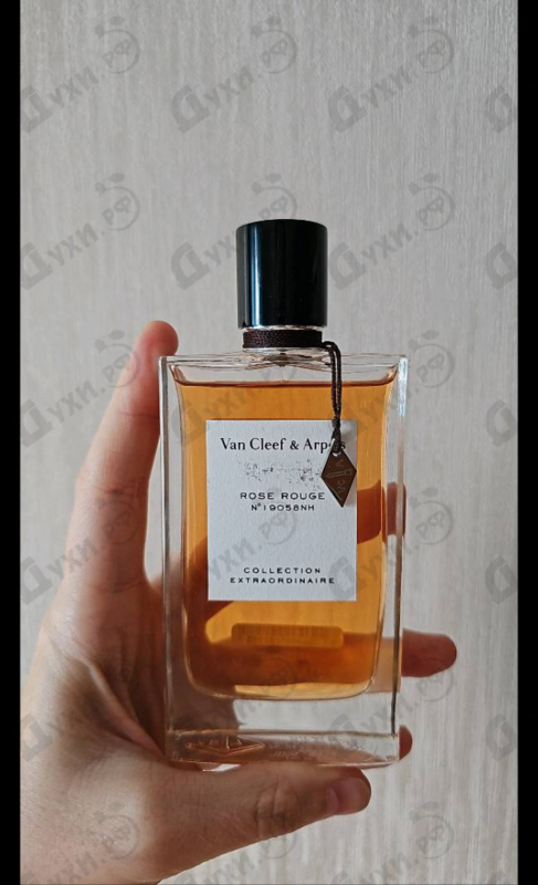 Купить Rose Rouge от Van Cleef & Arpels