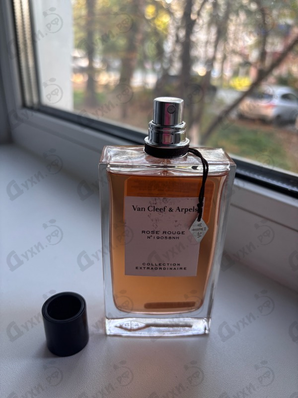 Купить Rose Rouge от Van Cleef & Arpels