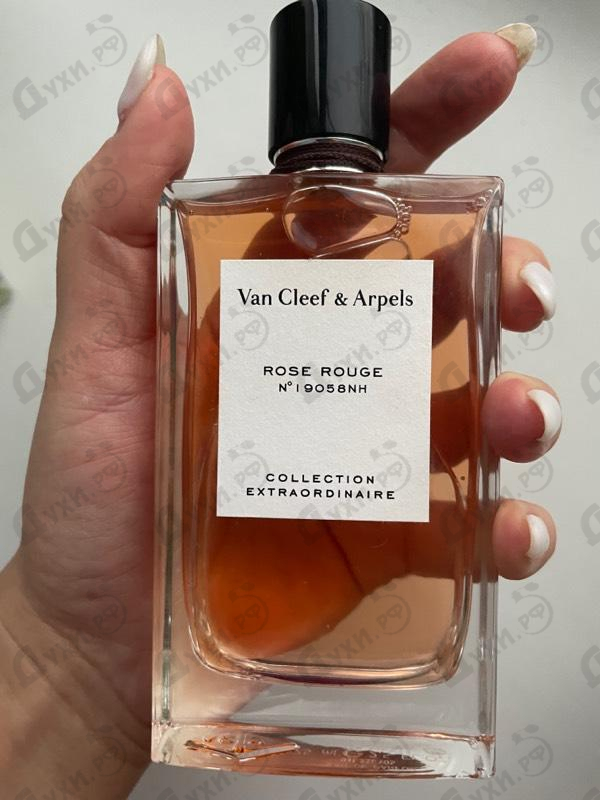 Купить Rose Rouge от Van Cleef & Arpels