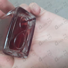 Отзывы Orto Parisi Terroni