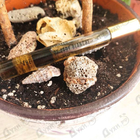 Парфюм Penhaligon's The Revenge Of Lady Blanche