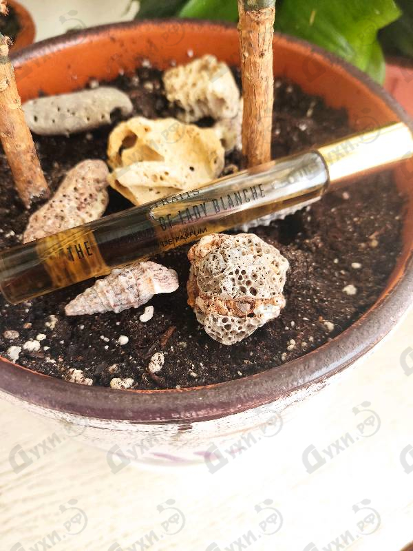 Купить The Revenge Of Lady Blanche от Penhaligon's