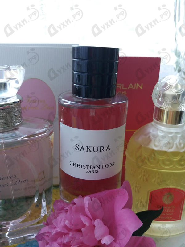 Отзывы Christian Dior Sakura Парфюмерия Sakura от Christian Dior