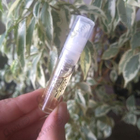 Отзыв Amouage Love Tuberose