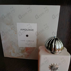 Отзывы Amouage Love Tuberose