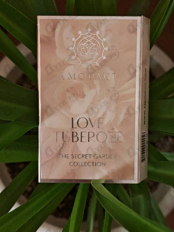 Духи Love Tuberose от Amouage