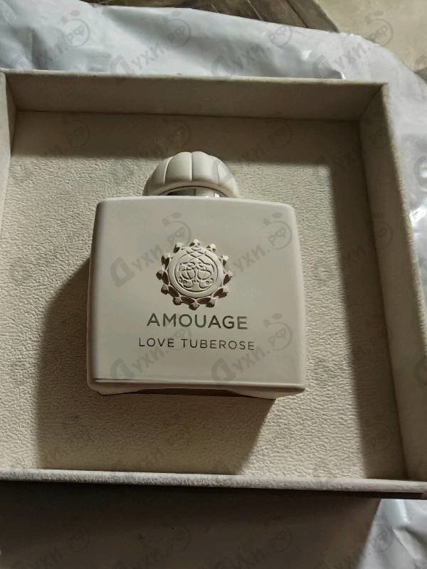 Купить Love Tuberose от Amouage