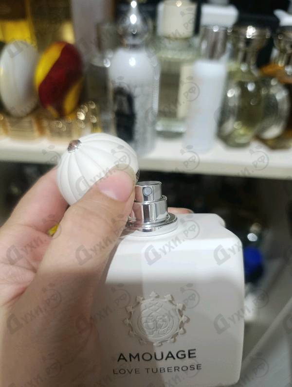 Купить Love Tuberose от Amouage
