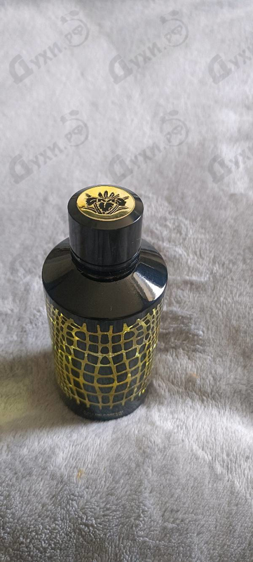 Отзыв Mancera Wild Python