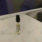 Отзыв Mancera Wild Python