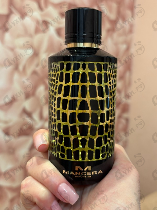 Купить Wild Python от Mancera