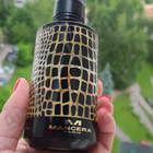 Отзыв Mancera Wild Python