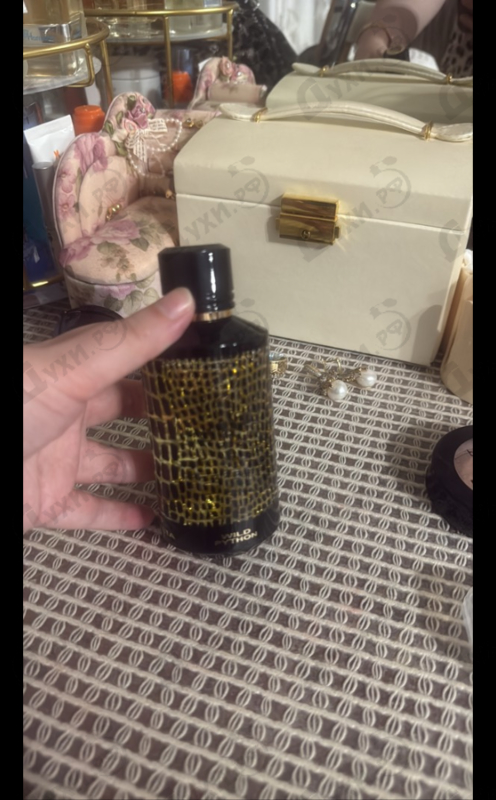 Отзывы Mancera Wild Python