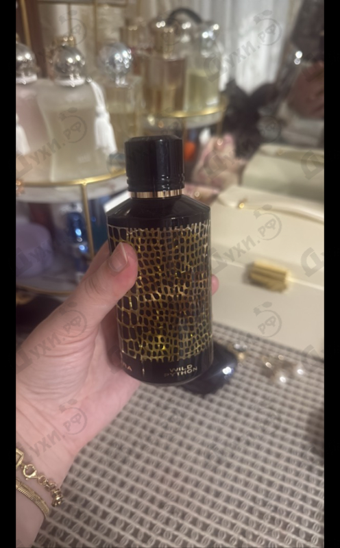 Купить Wild Python от Mancera