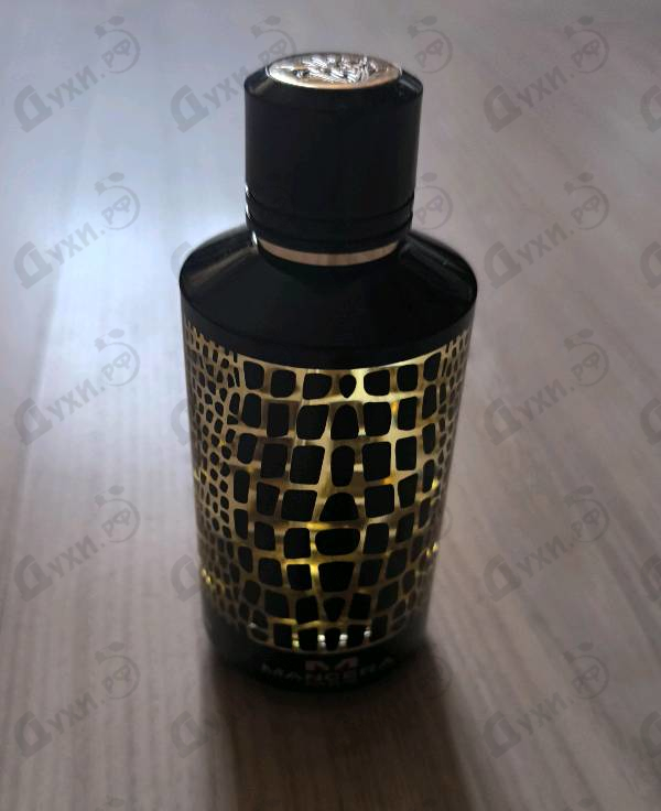 Купить Mancera Wild Python