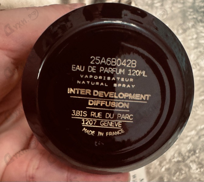 Отзыв Mancera Wild Python