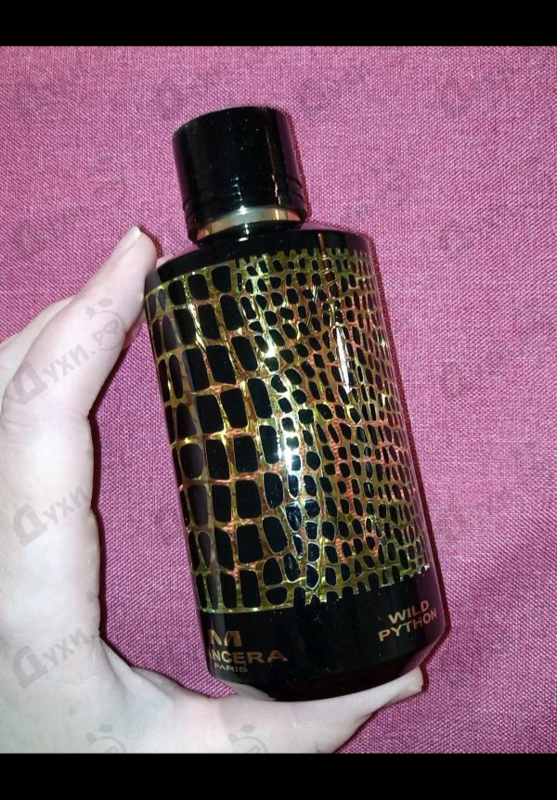 Отзыв Mancera Wild Python