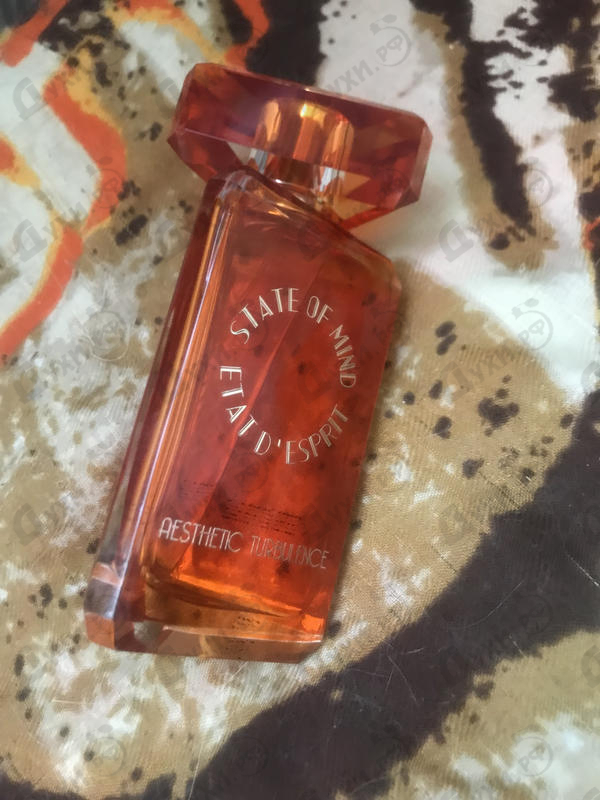 Купить Aesthetic Turbulence от State of Mind