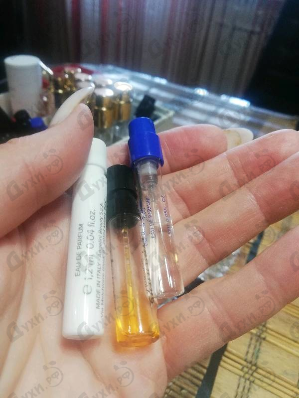 Купить Aesthetic Turbulence от State of Mind