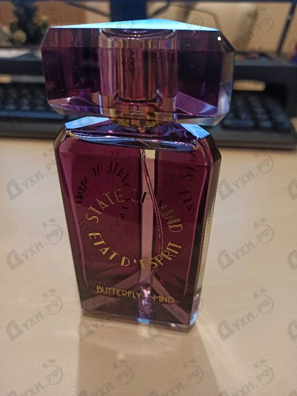 Купить Butterfly Mind от State of Mind