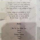 Отзыв State of Mind Butterfly Mind