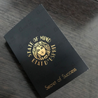 Отзыв State of Mind Secret Of Success