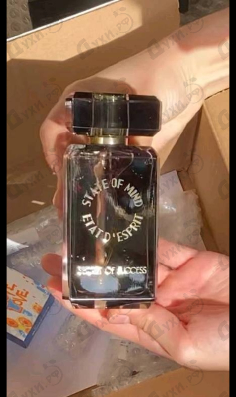 Отзыв State of Mind Secret Of Success