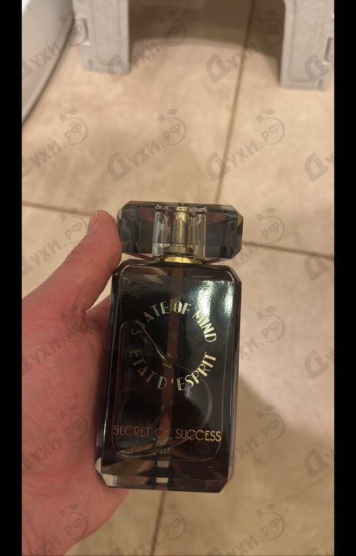 Купить State of Mind Secret Of Success