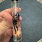 Парфюм State of Mind Sense Of Humor