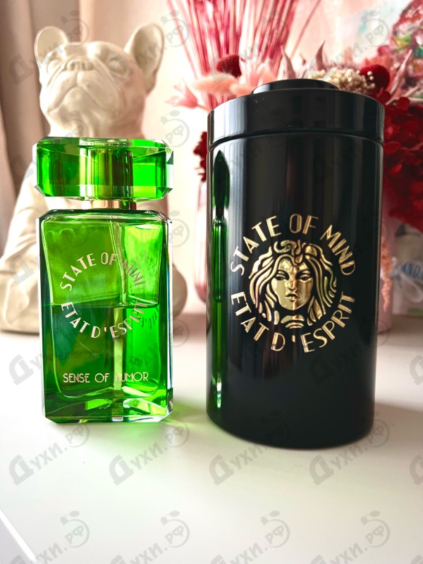 Купить Sense Of Humor от State of Mind