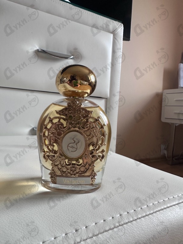 Купить Tiziana Terenzi Velorum Купить Velorum от Tiziana Terenzi