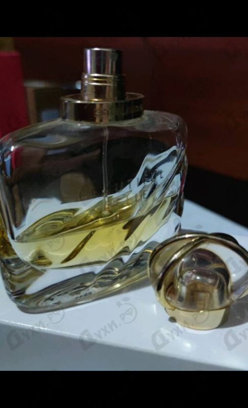 Парфюмерия Beautiful Belle от Estee Lauder