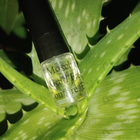 Духи Gold Fresh Couture от Moschino