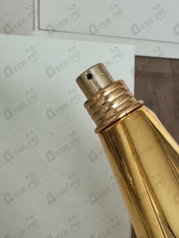 Купить Gold Fresh Couture от Moschino