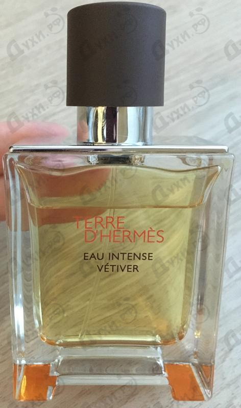 Купить Hermes Terre D'hermes Eau Intense Vetiver