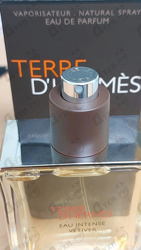 Отзыв Hermes Terre D'hermes Eau Intense Vetiver