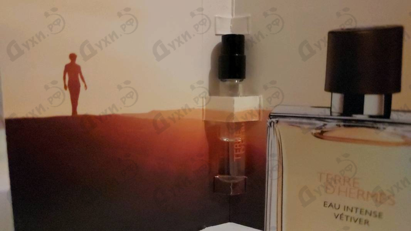 Купить Terre D'hermes Eau Intense Vetiver от Hermes