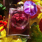 Парфюм La Perla La Mia Perla