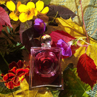 Отзыв La Perla La Mia Perla