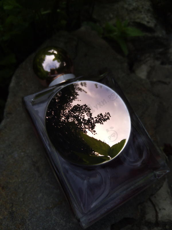 Духи La Perla La Mia Perla Духи La Mia Perla от La Perla