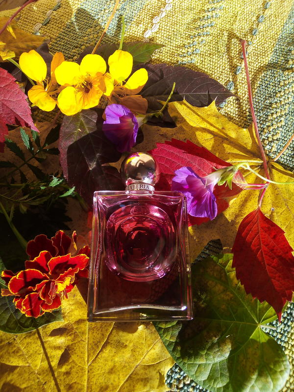 Отзывы La Perla La Mia Perla Купить La Mia Perla от La Perla