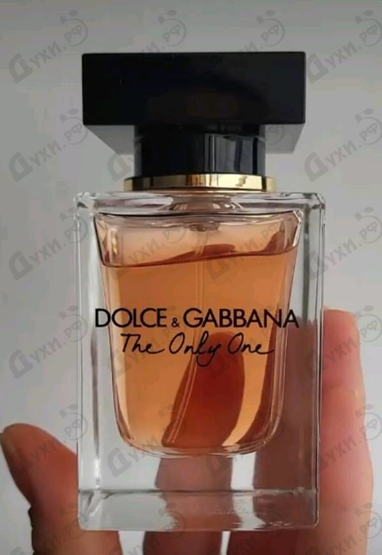 Купить The Only One от Dolce & Gabbana