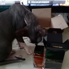 Отзывы Dolce & Gabbana The Only One