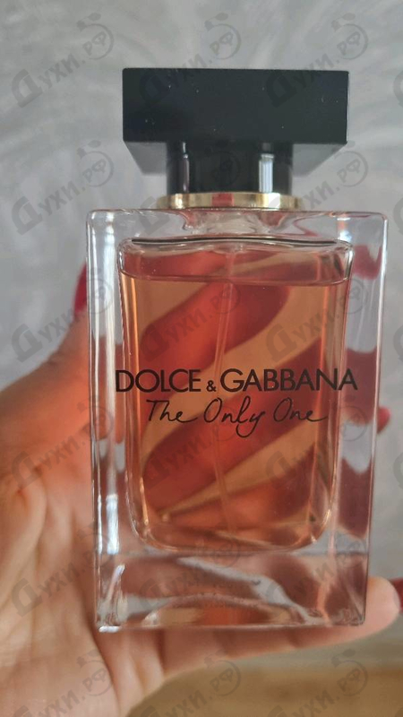 Купить The Only One от Dolce & Gabbana