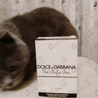 Отзывы Dolce & Gabbana The Only One