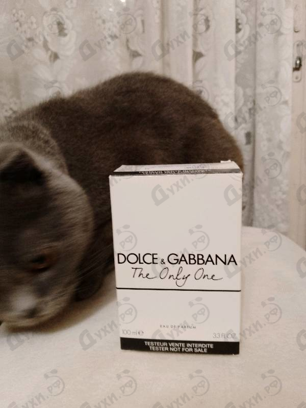 Духи The Only One от Dolce & Gabbana