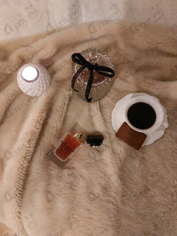 Парфюмерия The Only One от Dolce & Gabbana