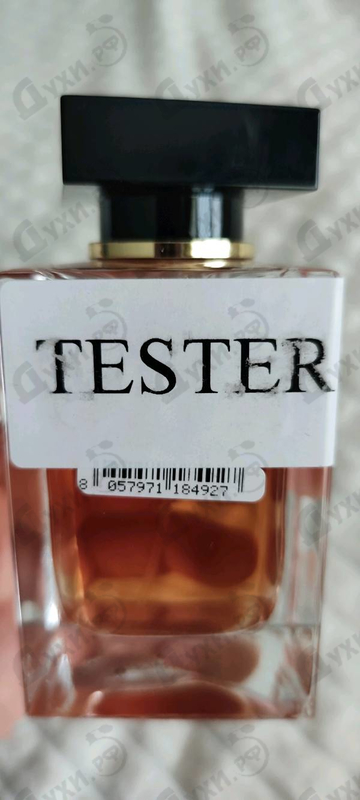 Купить The Only One от Dolce & Gabbana