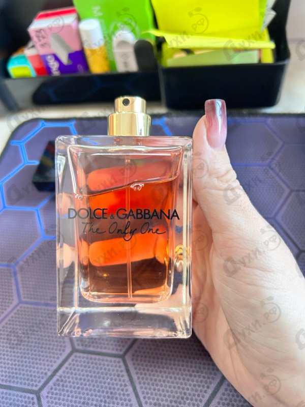 Купить The Only One от Dolce & Gabbana